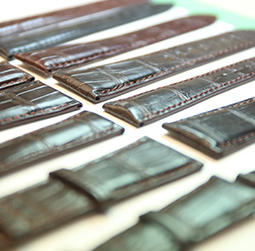 图2-孟加拉虎-用户-成都伯爵维修中心